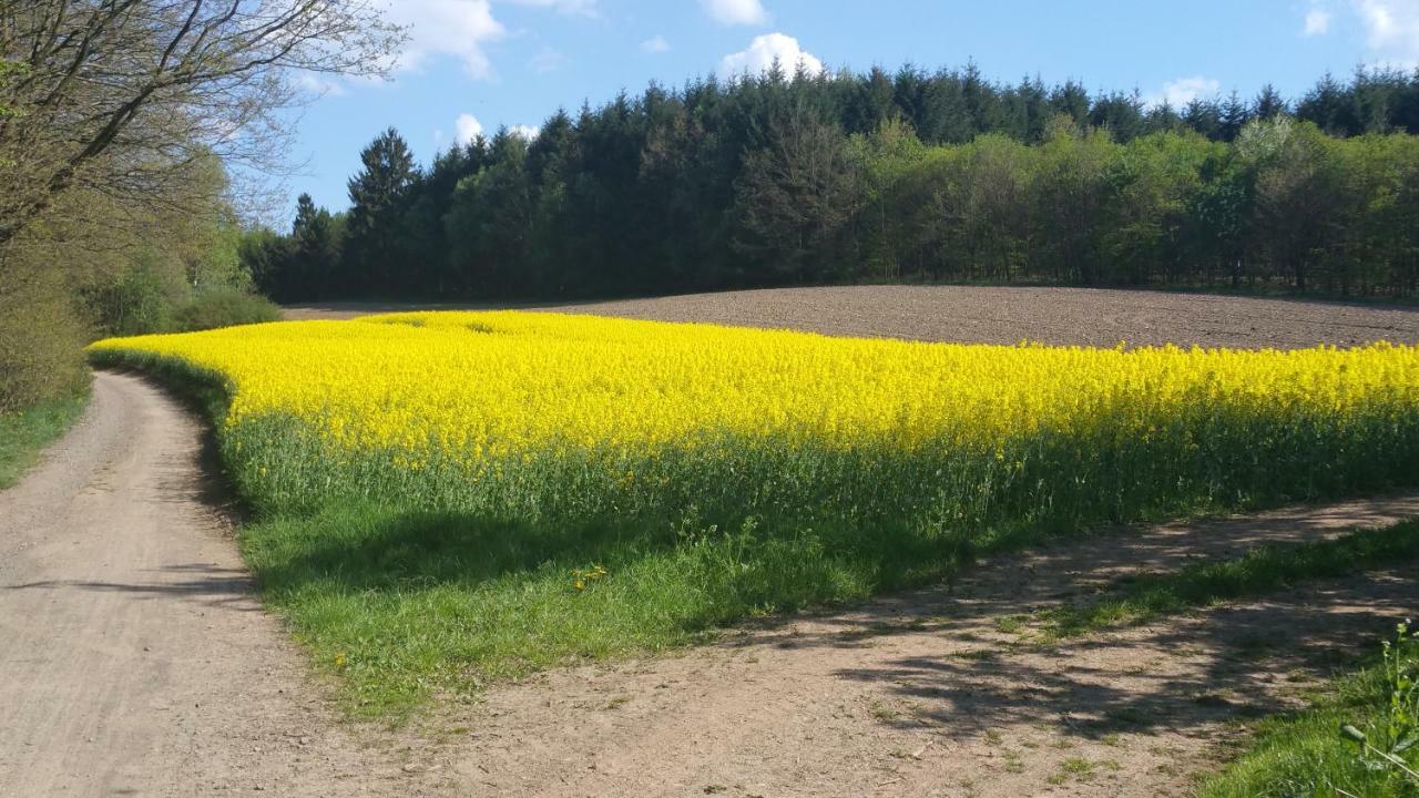 Ferienwohnung Auszeit Tholey Екстер'єр фото